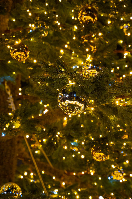 3 grudnia Ruda Śląska zyskała prawdziwie świąteczny blask, a to za sprawą rozświetlenia 10-metrowej choinki na placu Jana Pawła II. / fot. Marek Faber