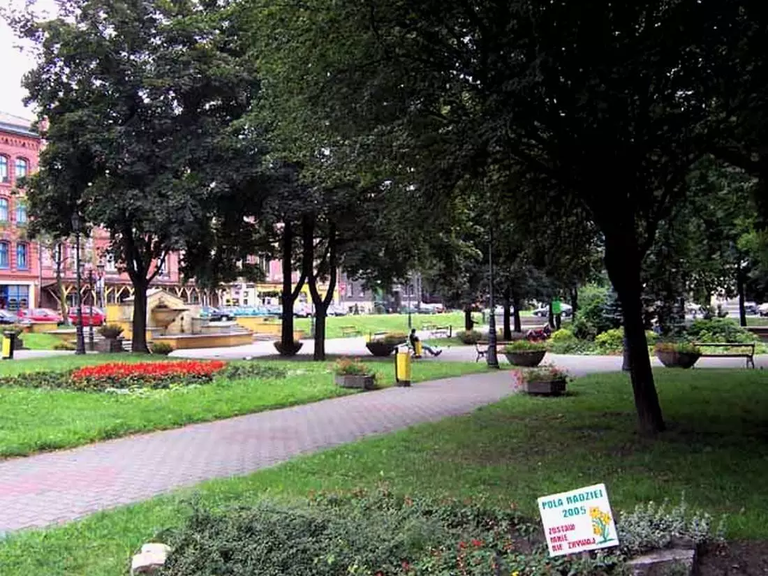 Plac Jana Pawła II - dawniej Plac Wolności - był przed remontem pełen zieleni. 