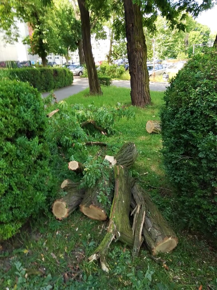 Skutki burzy w Rudzie Śląskiej.