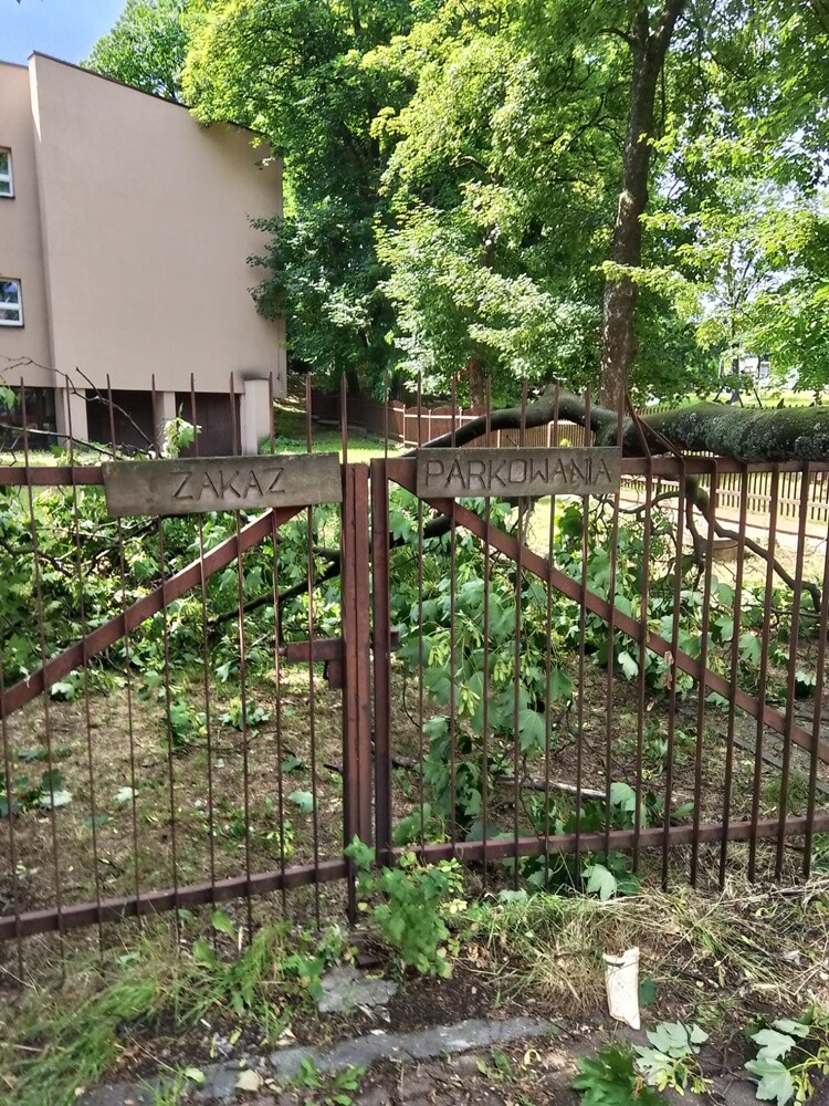 Skutki burzy w Rudzie Śląskiej.