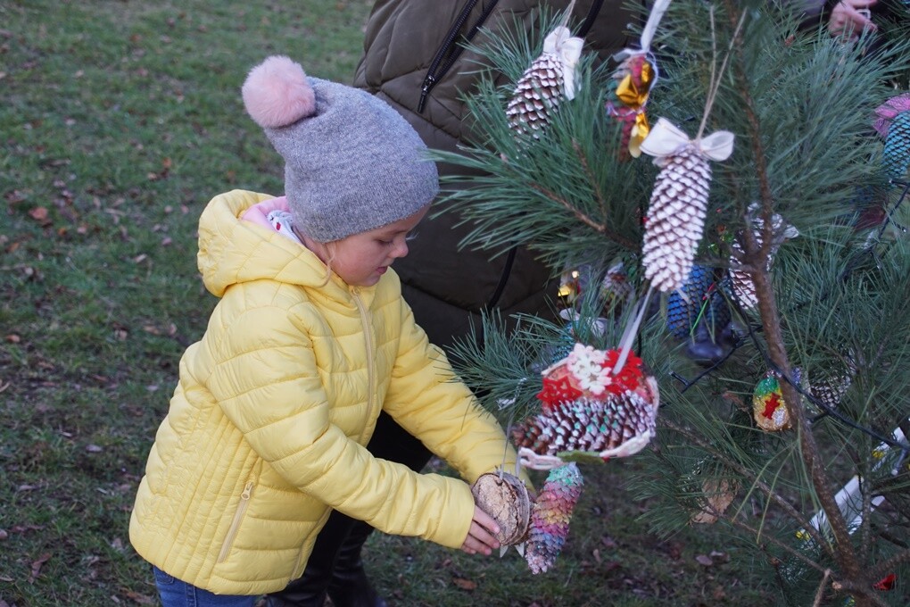 W Kochłowicach czuć już świąteczną atmosferę! Z inicjatywy Stowarzyszenia Lepsze Kochłowice. Lepsza Ruda Śląska i Fundacji Aktywni My na kochłowickich plantach, w rodzinnej atmosferze, mieszkańcy miasta ubierali świąteczne drzewko.