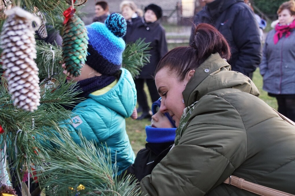 W Kochłowicach czuć już świąteczną atmosferę! Z inicjatywy Stowarzyszenia Lepsze Kochłowice. Lepsza Ruda Śląska i Fundacji Aktywni My na kochłowickich plantach, w rodzinnej atmosferze, mieszkańcy miasta ubierali świąteczne drzewko.