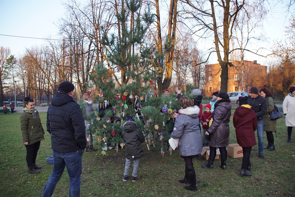 W Kochłowicach czuć już świąteczną atmosferę! Z inicjatywy Stowarzyszenia Lepsze Kochłowice. Lepsza Ruda Śląska i Fundacji Aktywni My na kochłowickich plantach, w rodzinnej atmosferze, mieszkańcy miasta ubierali świąteczne drzewko.