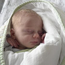 Timothy Harris