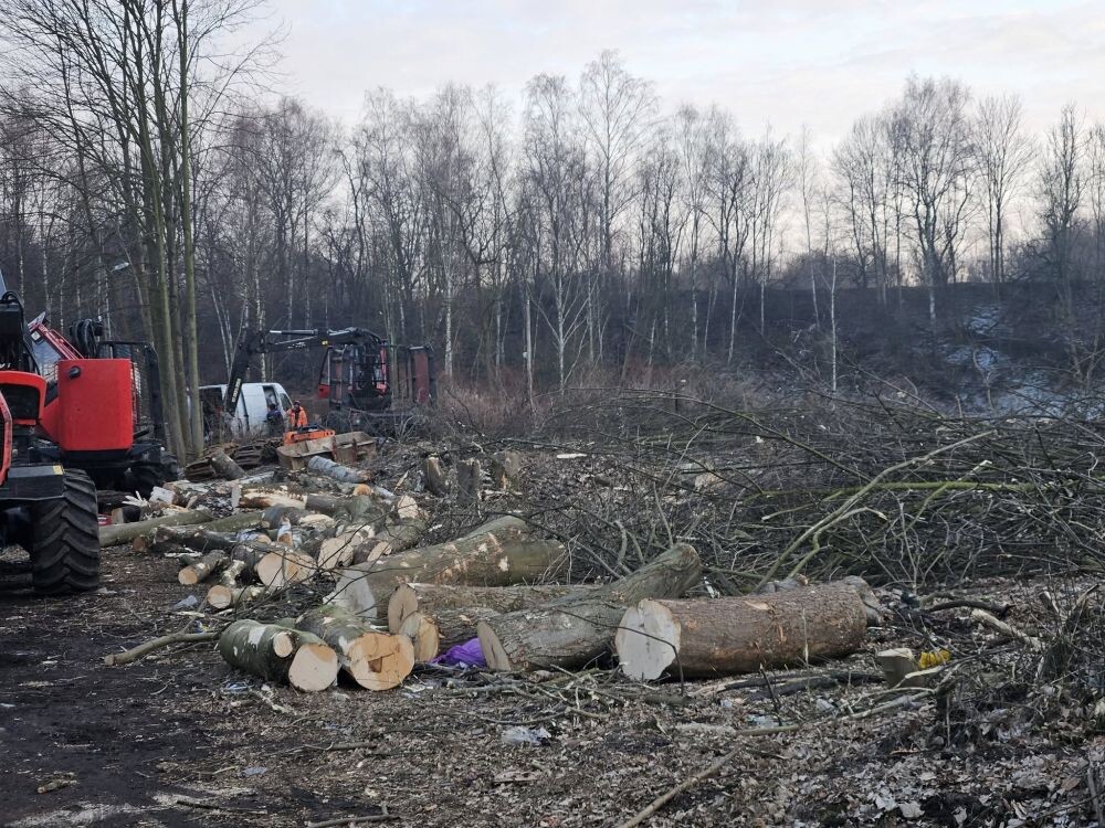 Trwa wycinka drzew w dzielnicy Ruda pod trasę N-S/fot. Janusz Żurek, Krystian Mrukwa