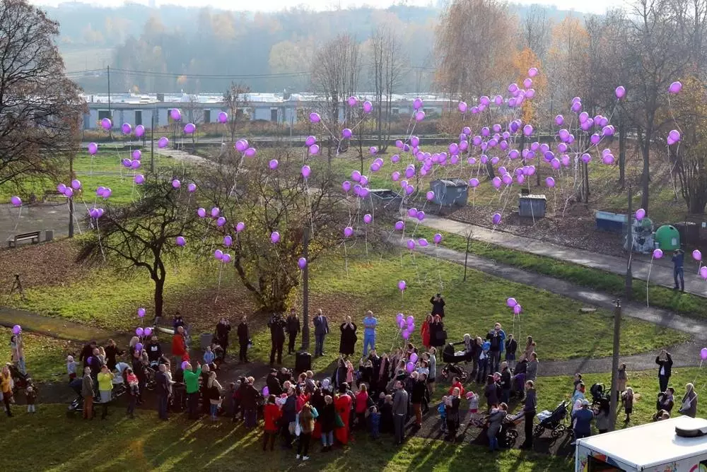 Z okazji Dnia Wcze&#347;niaka przy rudzkim szpitalu wypuszczono w niebo 200 fioletowych balonów