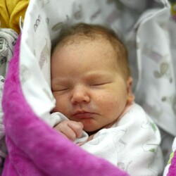 Zofia Tomecka